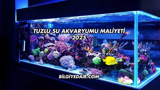 Tuzlu Su Akvaryumu Maliyeti 2025