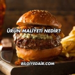 Ürün Maliyeti Nedir?