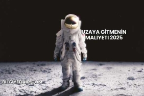 Uzaya Gitmenin Maliyeti 2025