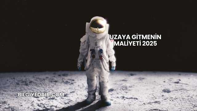 Uzaya Gitmenin Maliyeti 2025
