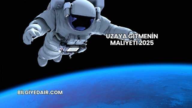 Uzaya Gitmenin Maliyeti 2025