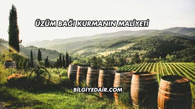 Üzüm Bağı Kurmanın Maliyeti
