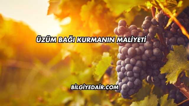 Üzüm Bağı Kurmanın Maliyeti
