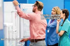Vestel Bayilik Maliyeti 2025