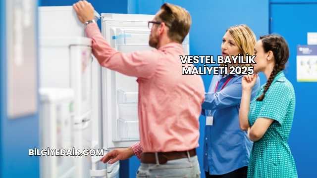 Vestel Bayilik Maliyeti 2025