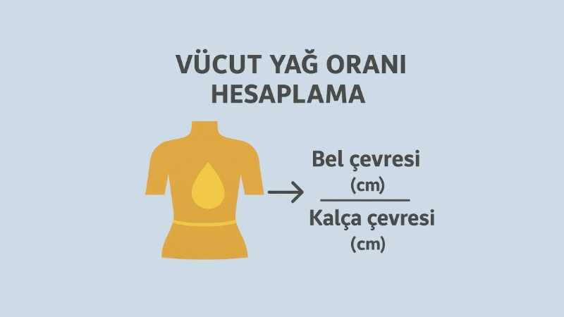 Vücut Yağ Oranı Hesaplama