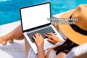 Work And Travel Maliyeti 2025
