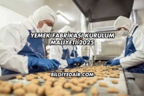 Yemek Fabrikası Kurulum Maliyeti 2025