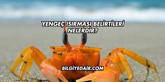 Yengeç Isırması Belirtileri Nelerdir?