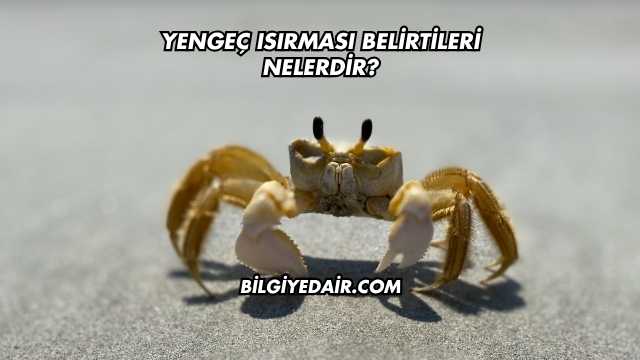 Yengeç Isırması Belirtileri Nelerdir?