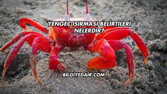 Yengeç Isırması Belirtileri Nelerdir?