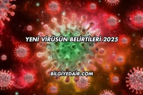 Yeni Virüsün Belirtileri 2025