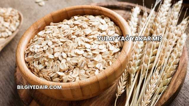 Yulaf Yağ Yakar mı?
