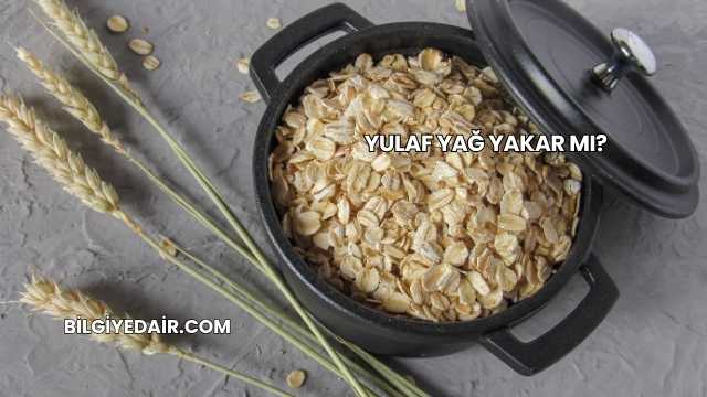Yulaf Yağ Yakar mı?