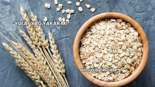Yulaf Yağ Yakar mı?