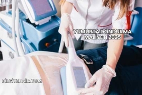 Yumurta Dondurma Maliyeti 2025