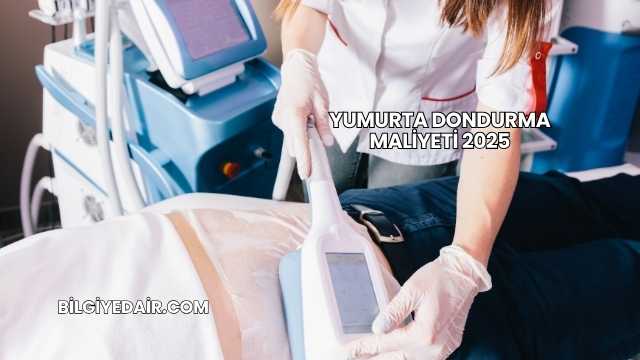 Yumurta Dondurma Maliyeti 2025