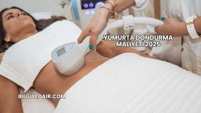 Yumurta Dondurma Maliyeti 2025