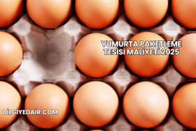 Yumurta Paketleme Tesisi Maliyeti 2025