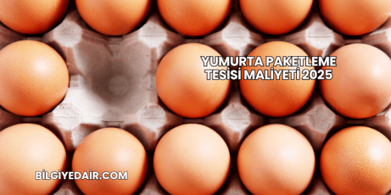 Yumurta Paketleme Tesisi Maliyeti 2025