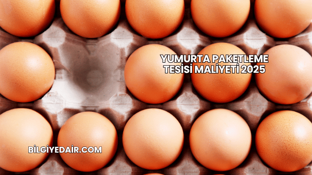 Yumurta Paketleme Tesisi Maliyeti 2025