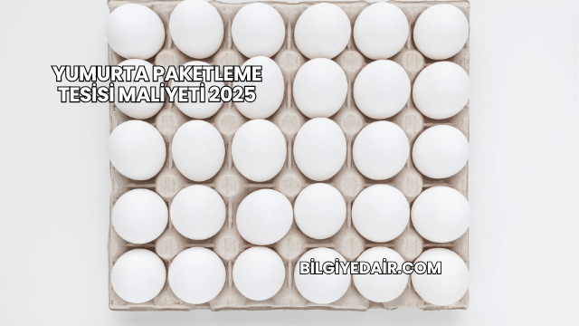 Yumurta Paketleme Tesisi Maliyeti 2025