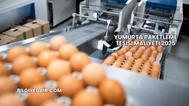 Yumurta Paketleme Tesisi Maliyeti 2025