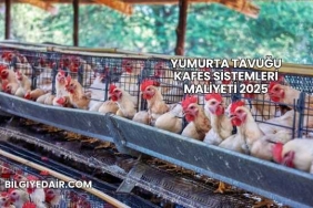 Yumurta Tavuğu Kafes Sistemleri Maliyeti 2025