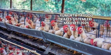 Yumurta Tavuğu Kafes Sistemleri Maliyeti 2025