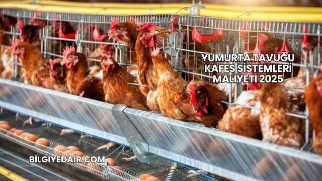 Yumurta Tavuğu Kafes Sistemleri Maliyeti 2025