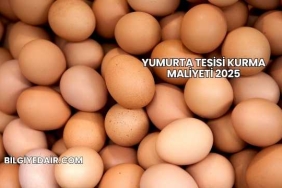 Yumurta Tesisi Kurma Maliyeti 2025
