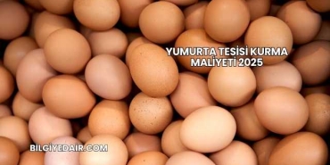 Yumurta Tesisi Kurma Maliyeti 2025