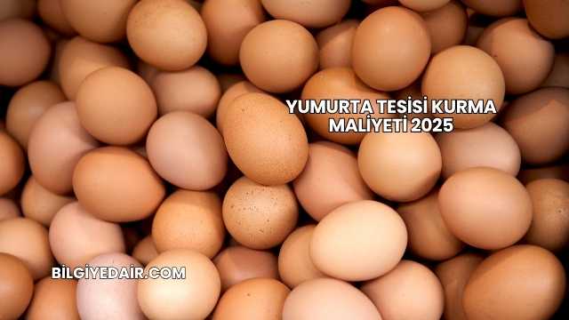 Yumurta Tesisi Kurma Maliyeti 2025