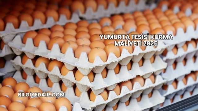 Yumurta Tesisi Kurma Maliyeti 2025
