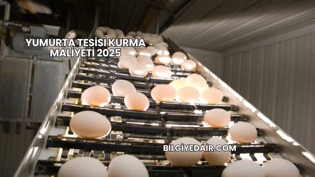 Yumurta Tesisi Kurma Maliyeti 2025