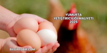 Yumurta Yetiştiriciliği Maliyeti 2025