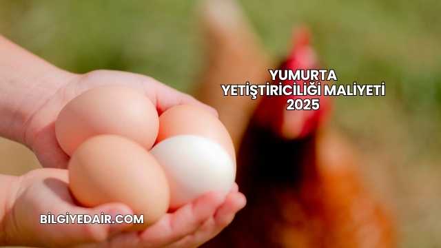 Yumurta Yetiştiriciliği Maliyeti 2025