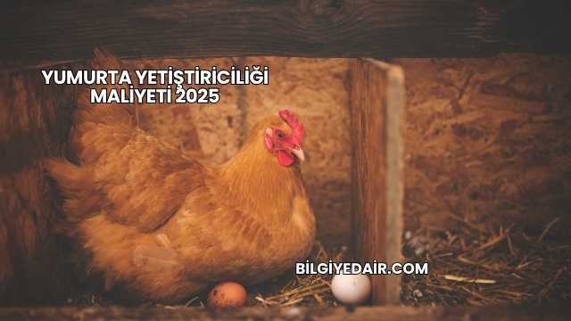 Yumurta Yetiştiriciliği Maliyeti 2025