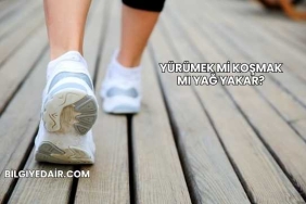 Yürümek mi Koşmak mı Yağ Yakar?