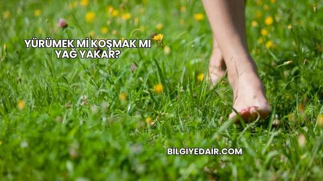 Yürümek mi Koşmak mı Yağ Yakar?