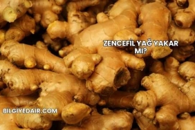 Zencefil Yağ Yakar mı?