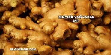 Zencefil Yağ Yakar mı?