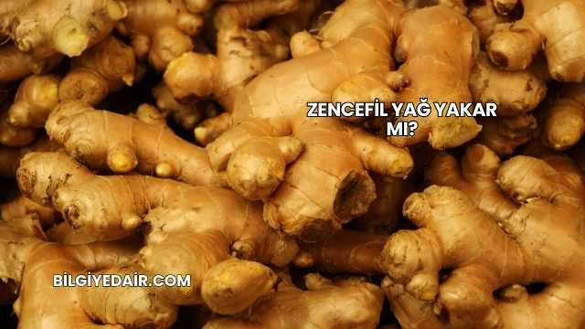 Zencefil Yağ Yakar mı?
