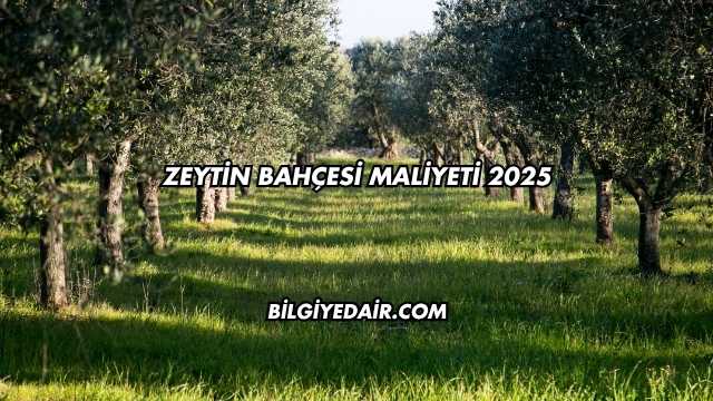 Zeytin Bahçesi Maliyeti 2025
