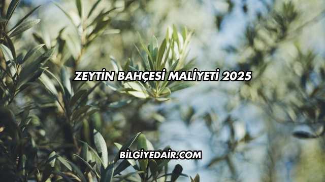 Zeytin Bahçesi Maliyeti 2025