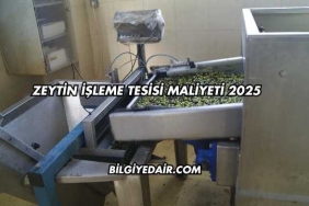 Zeytin İşleme Tesisi Maliyeti 2025