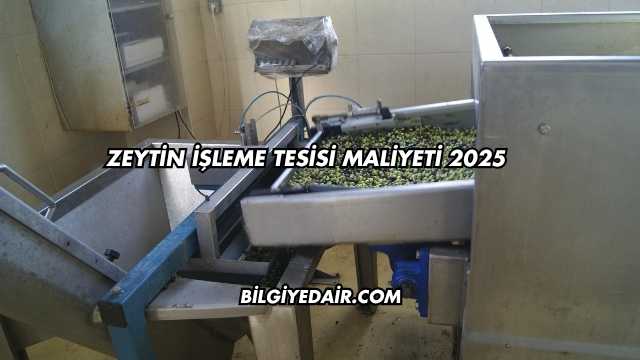 Zeytin İşleme Tesisi Maliyeti 2025