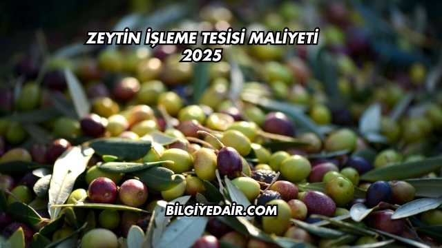 Zeytin İşleme Tesisi Maliyeti 2025