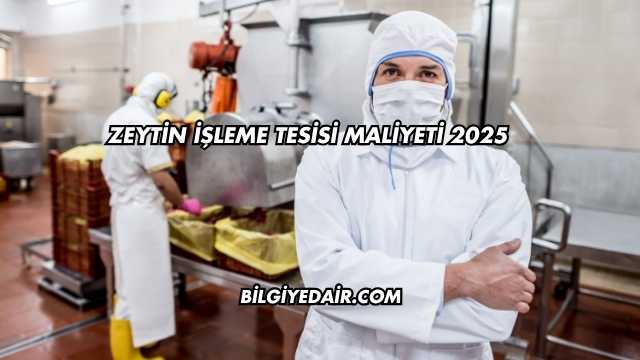 Zeytin İşleme Tesisi Maliyeti 2025