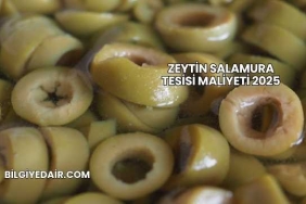 Zeytin Salamura Tesisi Maliyeti 2025